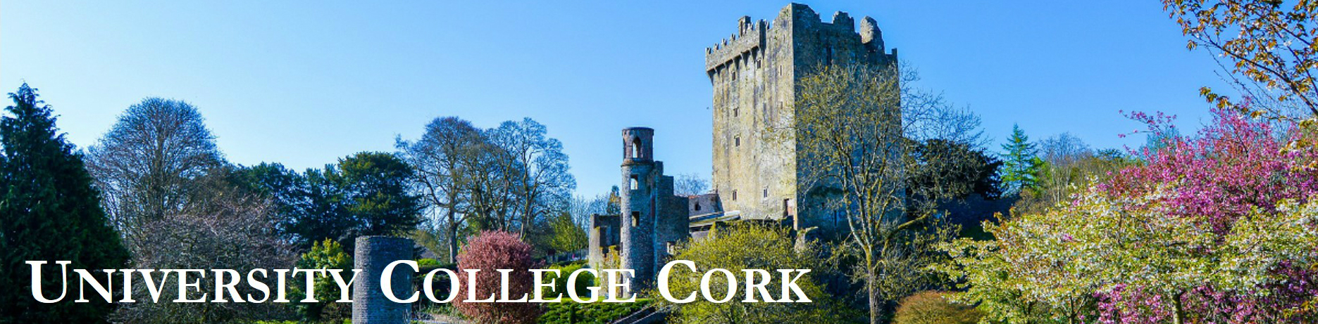 Cork banner